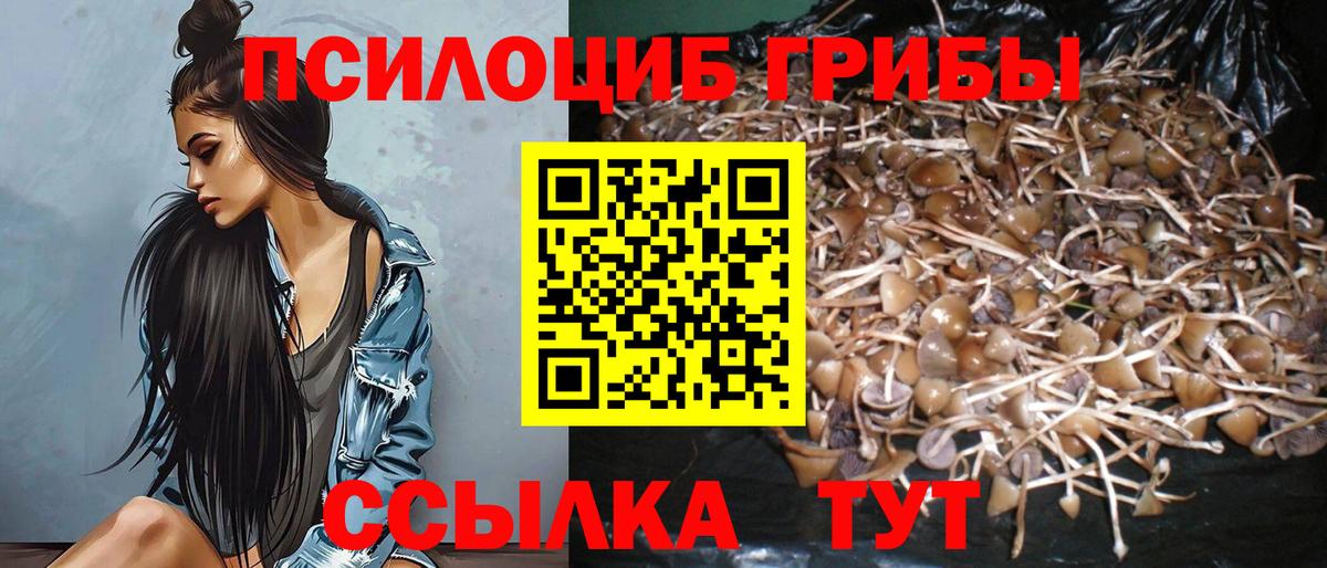 Псилоцибиновые грибы GOLDEN TEACHER  Псилоцибиновые грибы ЛСД  Вход с VPN  Благодарный 